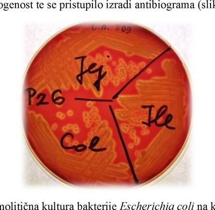 4. REZULTATIISTRAŽIVANJA I RASPRAVA 4.1.