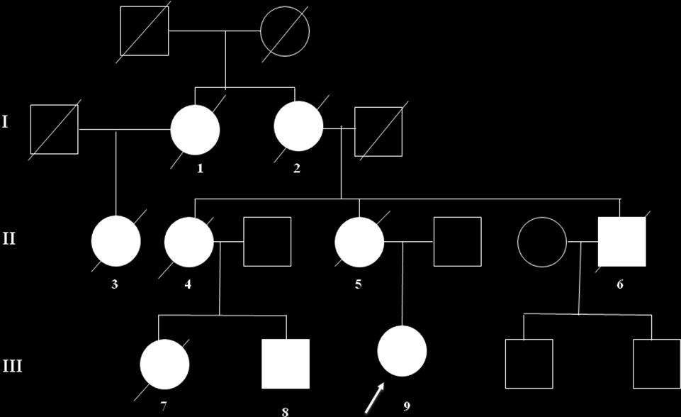 Shema 9. Porodično stablo bolesnika 1, nosioca Thr714Ile mutacije u egzonu 17 APP gena Tabela 22.