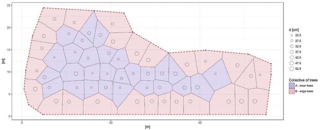 Based on the coordinates of every individual tree in the space defined in the previously mentioned way, the so called Voronoi polygons were constructed (Okabe et al.