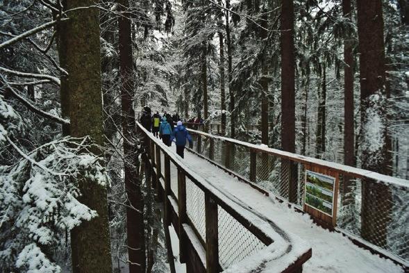 ŠUMARSKI LIST, 3 4, CXLIII (2019) 189 1 2 nje; četvrtak 14. 2. pojedinačna natjecanja slobodnim stilom i u večernjim satima posjet Muzeju skijanja; petak 15. 2. štafetna natjecanja poslije kojih slijedi tzv.