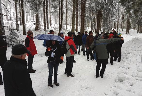 Pješačenje na krpljama uz vodstvo osoblja Bavarskoga nacionalnog parka šumama do vrha Grober Falkenstein (1315 m) s čijeg se platoa otvara pogled na dolinu prema