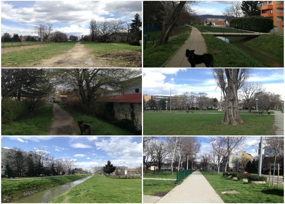 korištenje javnih površina šetača pasa ovisiti i o tome postoji li u naselju gdje žive park za pse te ako postoji, park za pse će biti preferencijalno mjesto šetnje i zadržavanja. Sl. 8.