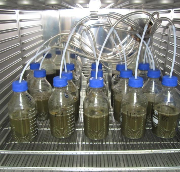 Postupak ispitivanja prinosa i sastava biogasa dalje podrazumeva da se u reaktore, litarske staklene boce, odmeri tačno propisana količina analiziranog supstrata i inokuluma, materije koja obezbeđuje