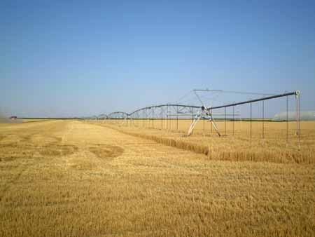 Питање производње озиме пшенице се сматра једним од најтежих у наводњавању имајући у виду дужину вегетационог периода и чињеницу да се он протеже на периоде јесени, зиме и пролећа.