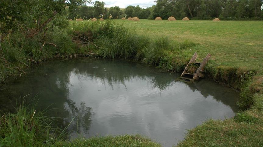 Термална вода Чедово припада класи хидрокарбонатних вода, а подкласи калцијумско-магнезијумских вода. Садржи повишен садржај радијума (0.5 Bq/l). Тип издани је карстни, а минерализација 0.31 g/l.