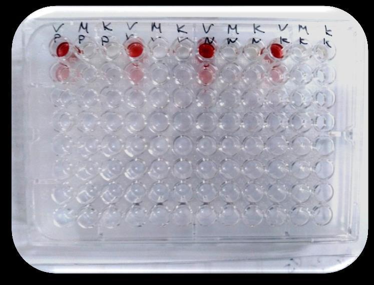 4.2. Drugi set eksperimenata 4.2.1.