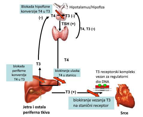 trostruko ili peterostruko viša od normalne povezana je često s efikasnim antiaritmičkim učinkom, a više vrijednosti povezane su s razvojem neželjenih učinaka kao što su promjene vidnog polja,