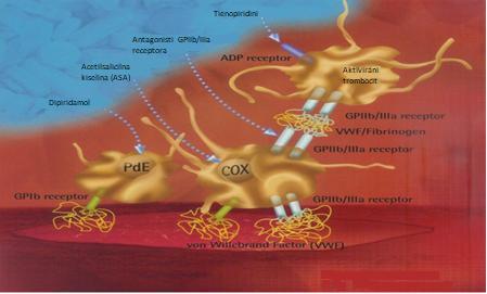 lijekova koji inhibiraju funkciju trombocita.