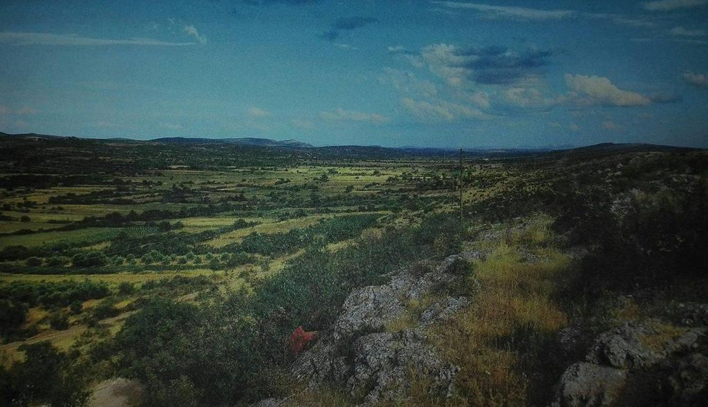 Slika 3. Obradive površine u Ravnim kotarima Izvor: Magaš (2013.