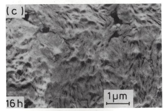 No treba napomenuti da se nakon izvjesnog vremena mljevenja postiže prosječna veličina čestica (''particles'')* koja se daljnjim mljevenjem ne mijenja (prosječna veličina oko 1 m); međutim veličine