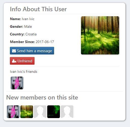 4.2.3 Korisnički profil Blok korisničkog profila se prikazuje kada korisnik klikne na profilnu sliku ili ime drugog korisnika.