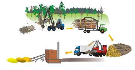 Sl.17: Transport celih stabala i prerada šumskog ostatka na stovarištu Nakon seče motornom testerom ili feler bančerom, cela stabla se transportuju forvarderom ili se vuku skiderom do stovarišta na