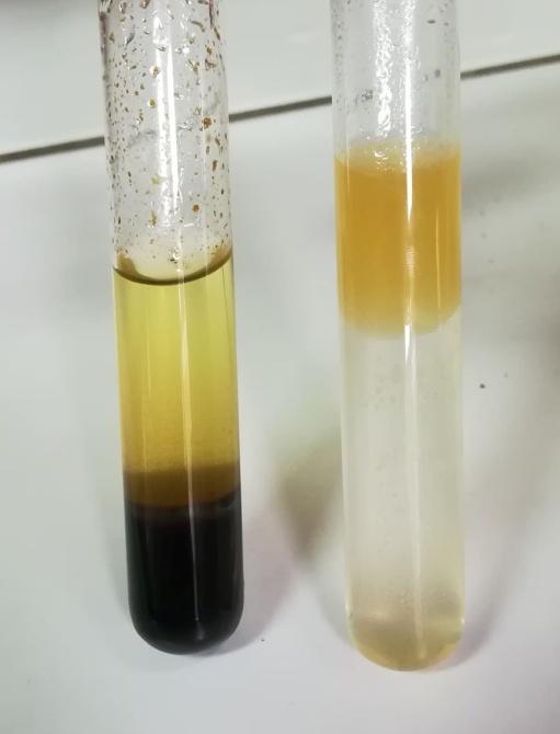 Slika 3.9. Oksidacija nezasićenih ugljovodonika (levo epruveta sa kalijum-permaganatom, desno epruveta sa sumpornom kiselinom) 3.1.5.