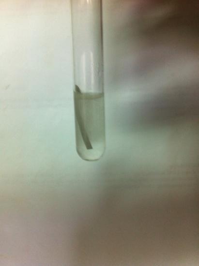 3.4.1. Rastvorljivost karboksilnih kiselina Pribor: stalak sa epruvetama. Hemikalije: mravlja kiselina, sirćetna kiselina, benzoeva kiselina, oleinska kiselina, destilovana voda.