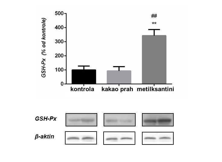 n M N A D P H m in -1 m g -1 p ro te in a Slika 51. Nivo proteina GSH-Px normalizovan u odnosu na aktin u homogenatu jetre miševa.
