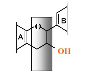 njihovim odgovarajućim derivatima. Flavan-3-oli podležu reakcijama hidroksilacije pri čemu nastaju (+)-galokatehin i (-)-epigalokatehin.