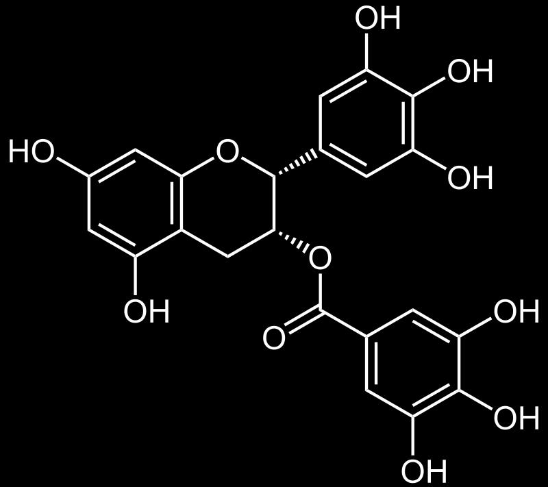 биљкама и састоје се од катехина или епикатехина (слика 2), и често садрже естре галне киселине. Слика 2. Епикатехин (www.wikipedia.