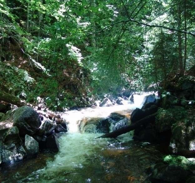 Заштита извора Изворске и текуће воде Копаоника се не могу оценити ни највишим квалитетом (природно су такве, а делом су додатно загађене отпадним водама) ни великом издашношћу (иако се ради о