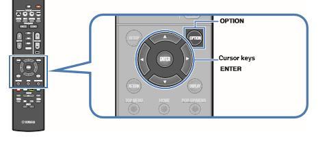 2 Pritisnite OPTION 3 Koristite kursorske tipke kako bi odabrali Audio In i pritisnite ENTER 4 Koristite kursorske tipke kako bi odabrali AUDIO 1 (audio ulazni izvor kojeg namjeravate