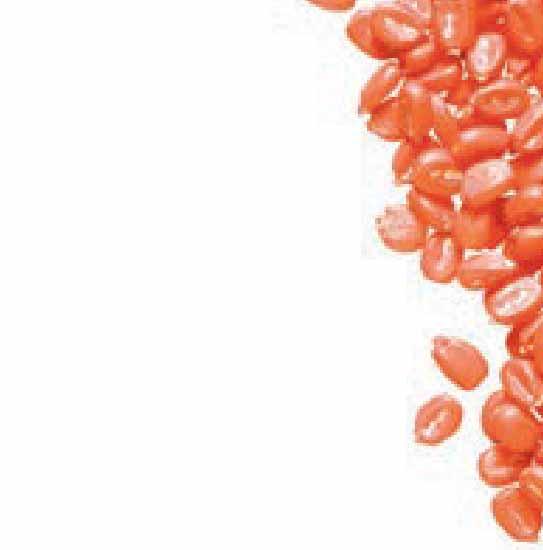 Smernice za tretiranje semena i upotrebu tretiranog semena Seed Care EAME (Evropa, Afrika