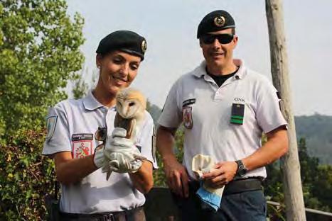 GNR Serviço de Proteção da Natureza e do Ambiente (SEPNA) Nature and Environmental Protection Service Operaciona Komanda osigurava komandovanje nad svim operativnim aktivnostima GNR i sastoji se od