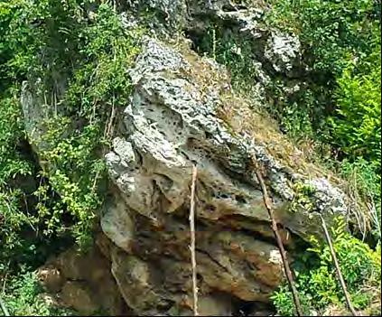 46 Karstna erozija Karstna erozija se pojavljuje u terenima izgrađenim od karbonatnih stijena (krečnjaci, dolomitični i laporoviti krečnjaci i dolomiti) i stijena sa karbonatnim vezivom, gdje