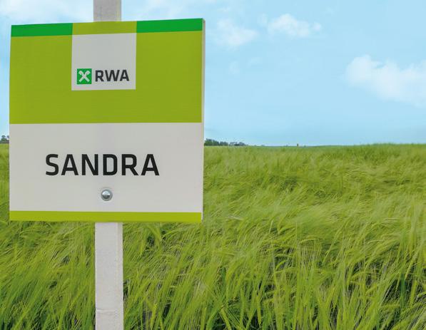 SANDRA Sandra je sorta nove generacije namenjena za rekordne prinose.