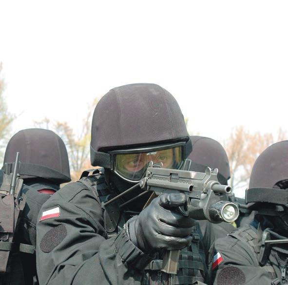 VOJ S KE S VIJ ET A Multinacionalna bojna vojne policije za potrebe N ATO -a, poljska inicijativa od 2002.
