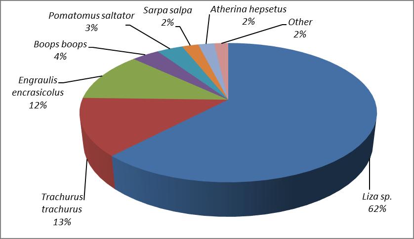 Slika 26. Grafički prikaz udjela pojedinih vrsta u ukupnom ulovu ostvarenom komercijalnom plivaricom oližnicom tijekom hladnijeg dijela 2015. godine na području unutar prvih 300 m od obale.