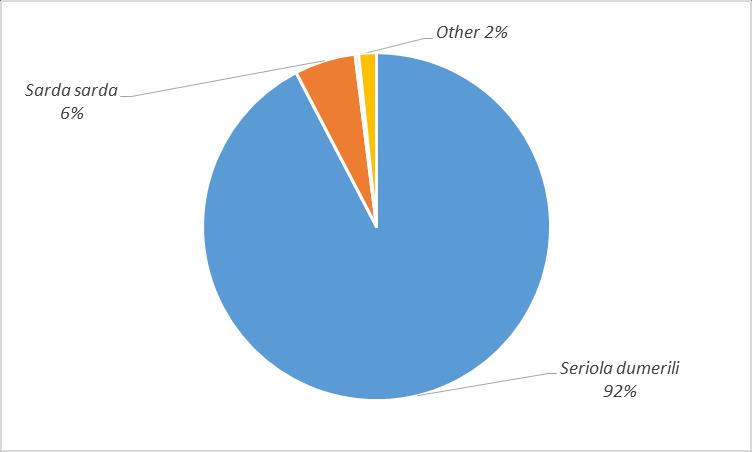 Slika 32. Grafički prikaz udjela pojedinih vrsta u ukupnom ulovu ostvarenom komercijalnom plivaricom palamidarom tijekom hladnijeg dijela 2015.