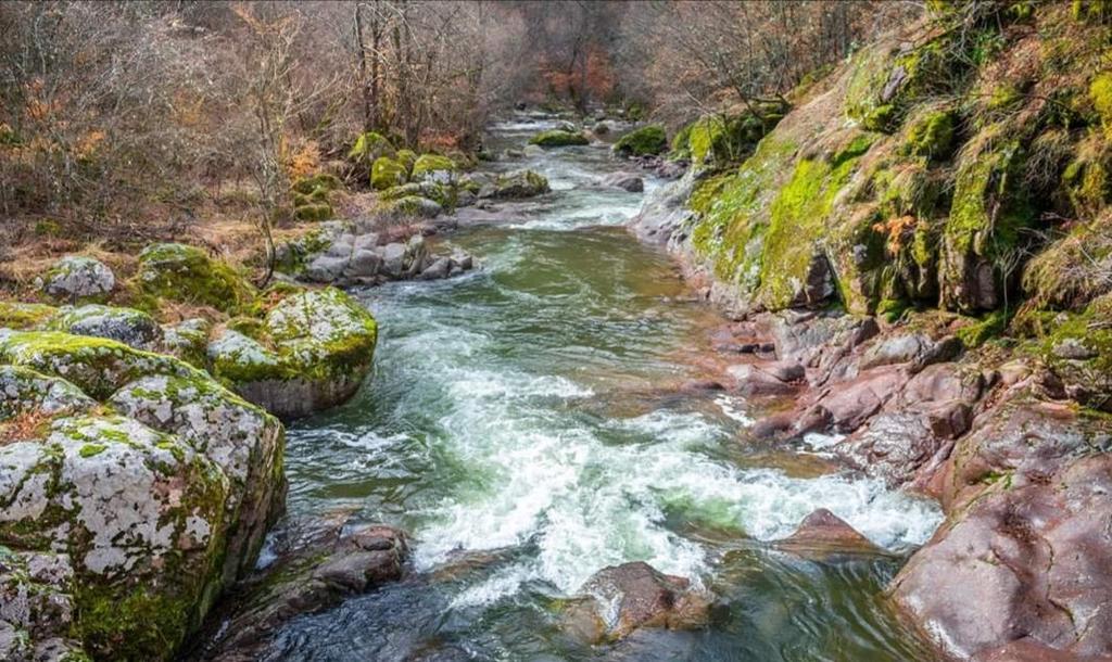 Слика 16 Топлодолска река (Фото Симоновић М.) Рудињска река је десна притока реке Темштице. Површина слива износи 20,07 km 2, док је речни ток дуг 9,50 km.