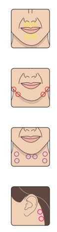 GORNJA I DONJA USNA Postavite elektrode simetrično odmah iznad ruba usne. Pojačajte intenzitet kako biste dobro osjetili kontrakciju. Ponovite postupak odmah ispod donje usne.
