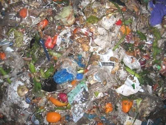 otpada, organski otpad prehrambene industrije, otpad iz klaonica, otpad iz