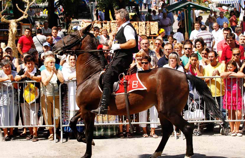 OPERATIVNI MARKETING PLAN RAZVOJA TURIZMA KROZ PROMOCIJU MULTIKULTURALNOSTI VOJVODINE U srednji Banat Hrvati su se naselili posle preuređenja Vojne granice, kada su došli u Sarču, Modoš, Boku i Biled.