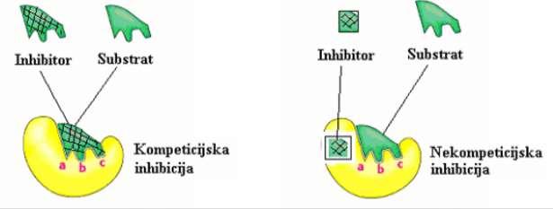 Razlikuju se dva tipa inhibitora: kompetitivni i nekompetitivni. Kompetitivni inhibitor je neki hemijski spoj po strukturi sličan supstratu koji se može smjestiti u aktivno mjesto enzima.