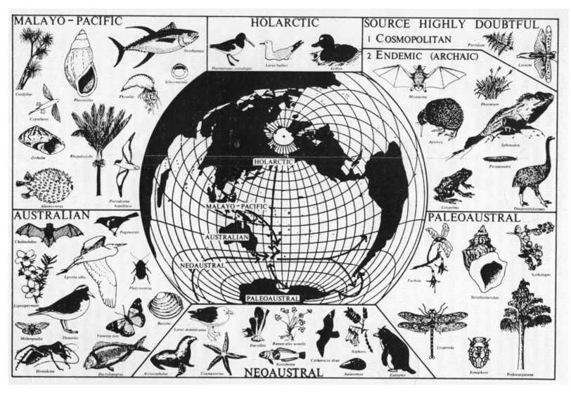 Fitogeografija je deo biogeografije čiji je predmet proučavanja