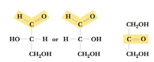 Biološki važni monosaharidi U prirodi su zastupljene dvije trioze, D-gliceraldehid i Dihidroksiaceton, i to