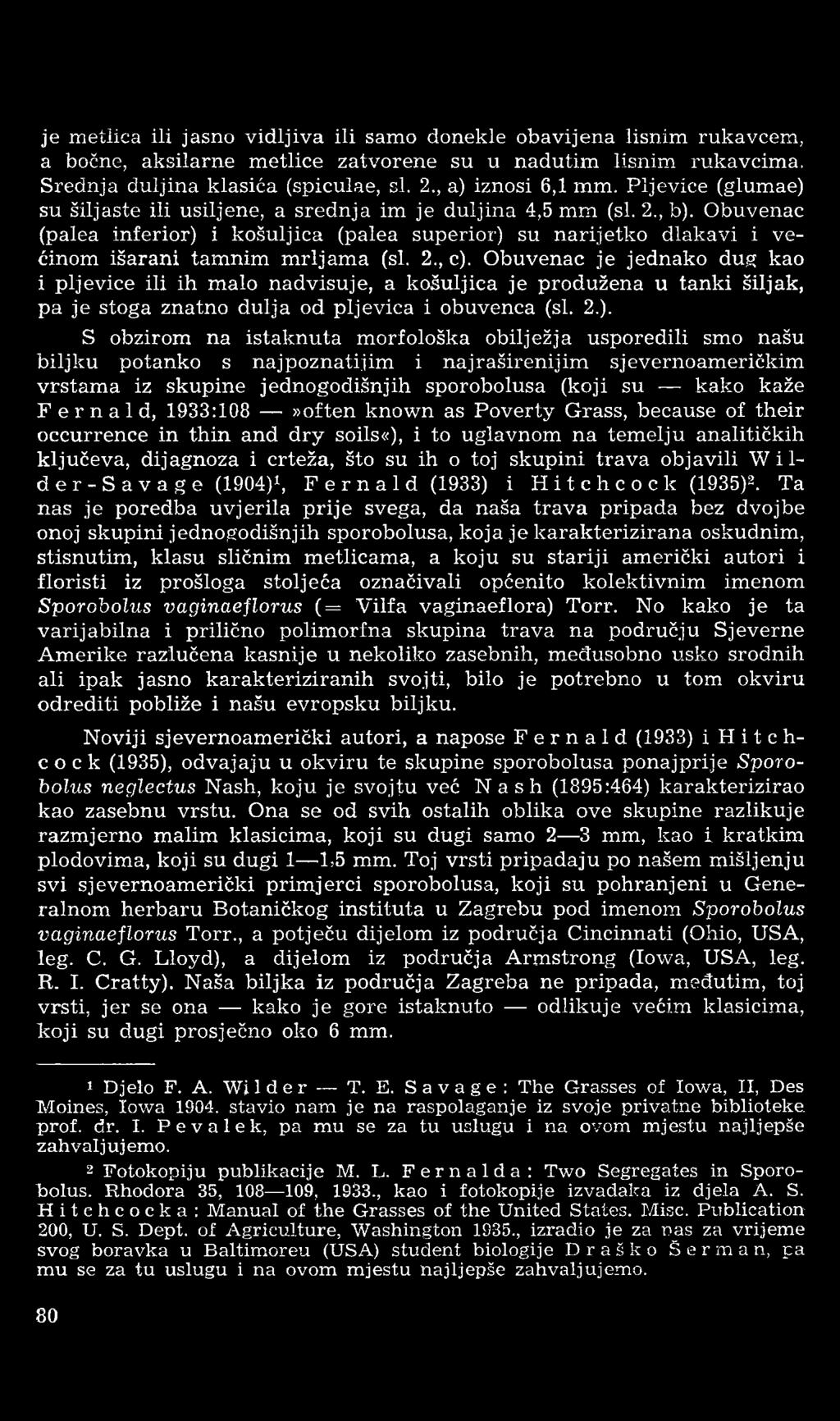 je metlica ili jasno vidljiva ili samo donekle obavijena lisnim rukavcem, a bočne, aksilarne metlice zatvorene su u nadutim lisnim rukavcima. Srednja duljina klasića (spiculae, si. 2.