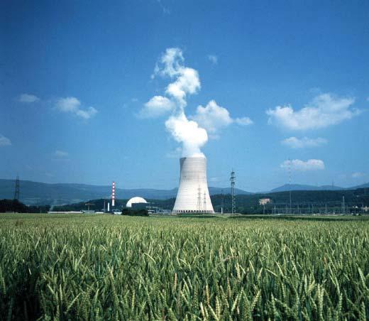 Uvodno Danas u pogonu 442 energetska reaktora U 30 zemalja Instalirana snaga od 374.996 MW e Pogonsko iskustvo > 14.