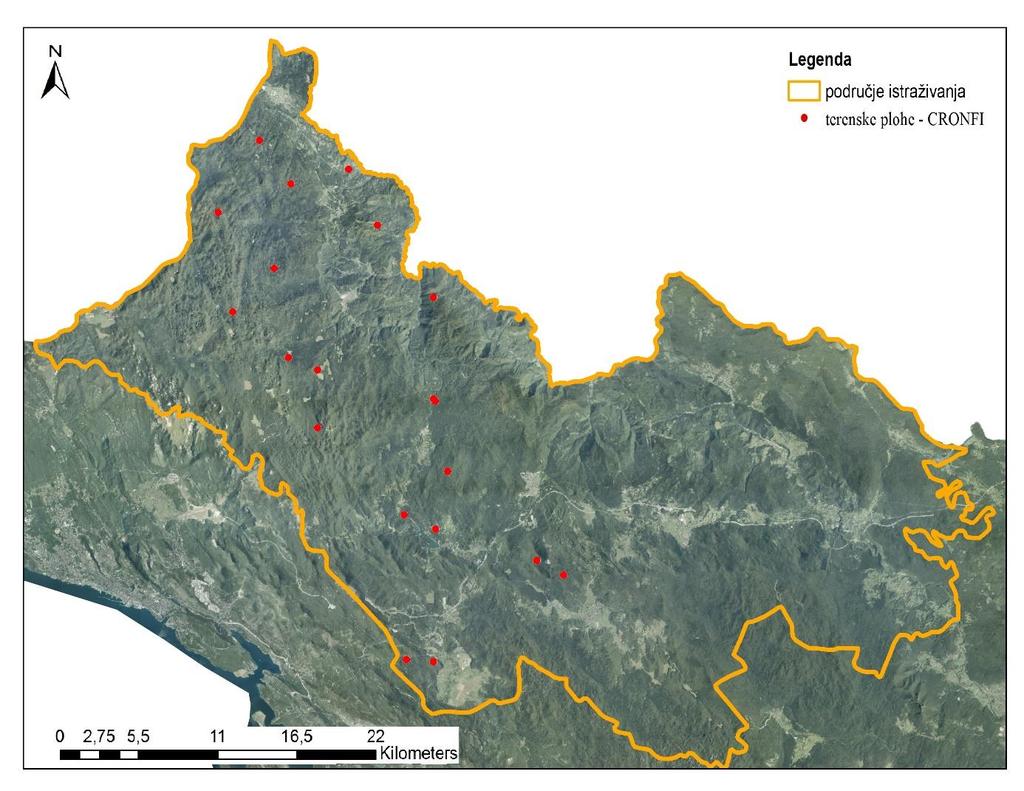 3. PODRUČJE ISTRAŽIVANJA Šire područje na kojemu je provedeno istraživanje su bukovo-jelove šume Gorskog kotara, dok je uže područje, područje Gorskog kotara zahvaćeno ledolomom.