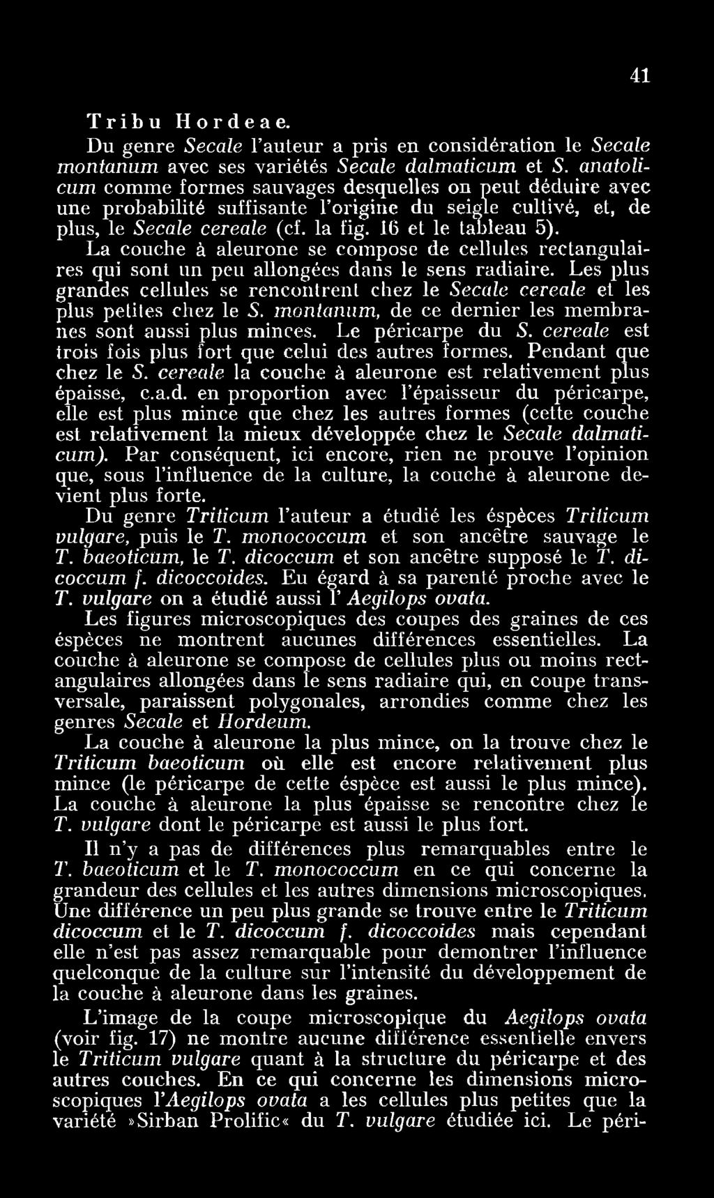 La couche à aleurone se compose de cellules rectangulaires qui sont un peu allongées dans le sens radiaire.