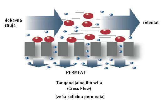 2. Teorijski dio termodinamskim svojstvima (naboj molekula i svojstva membrane).