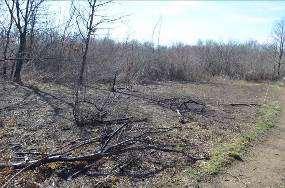 Posljedice požara na lokalitetu Moromiš Erozija zemljišta na području Bogićevići Eksploatacija šume i erozija obale rijeke Uočena je manja eksploatacija šume ili sječa pojedinačnih stabala posebno u