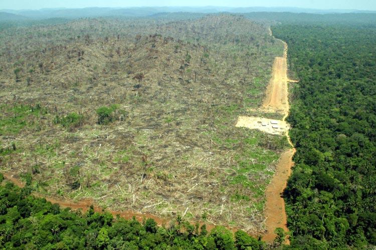 današnjih studija vezana je za uspostavljanje pokazatelja uzročnih veza između proizvodnje kakaa i krčenja šuma (Wessel 2015).