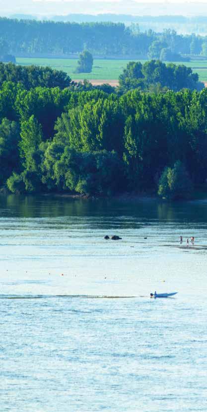 Dunavski otok svakako donosi predah od nesnosnih vrućina - počevši od kupanja u ugodnoj dunavskoj vodi, preko hladovine bujne otočke vegetacije, pa do hladnih napitaka u kojima se može