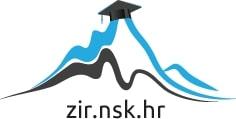 Analiza tržišta rada u Republici Hrvatskoj Kutleša, Mario Undergraduate thesis / Završni rad 2019 Degree Grantor / Ustanova koja je dodijelila akademski / stručni