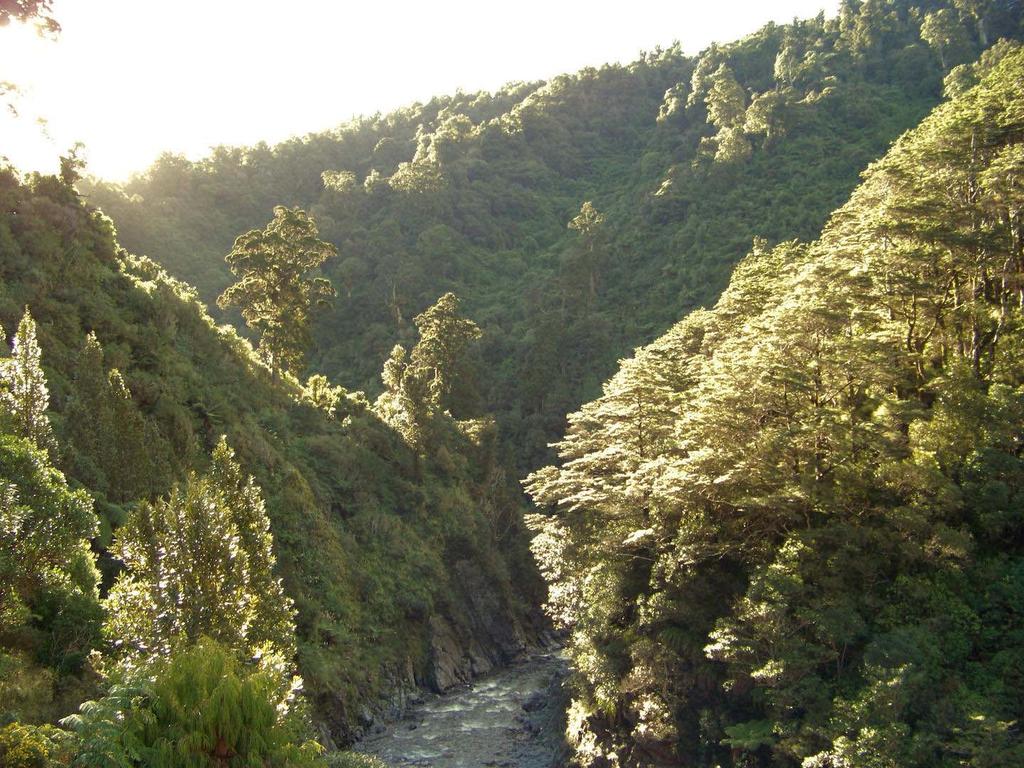 U Wellingtonu je sniman Gardens of Isengard, the River Anduin, Rivendell, Osgiliath Wood, Paths of the Dead.