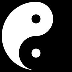 Međusobna interakcija yin i yang polariteta, odnosno aktivnog i pasivnog principa, stvara nas same i našu stvarnost.