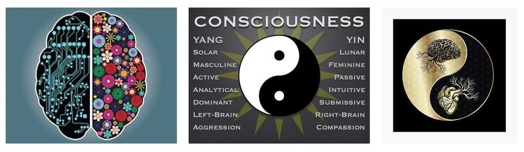 Yin/yang kozmologija, odnosno, podjela na dvije komplementarne, ali polarne hemisfere nije samo apstraktni filozofski pristup.