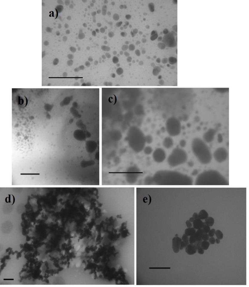 REZULTATI I RASPRAVA Slika 4.1.c. TEM slike nanočestica srebra u fosfatnom puferu (skala 100 nm): a) PVP-AgNP, b) CTA-AgNP, c) PLL-AgNP, d) AOT-AgNP, e) CIT-AgNP. DLS podaci u tablici 4.1.c. i slika 4.